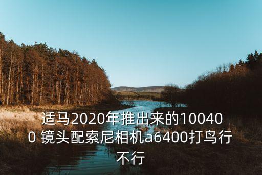  适马2020年推出来的100400 镜头配索尼相机a6400打鸟行不行