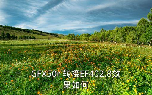 GFX50r 转接EF402.8效果如何